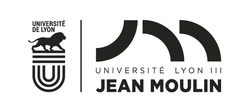 Logo Lyon 3